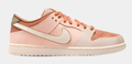 Nike SB Dunk Low Pro PRM 'Trocadero Gardens' Skate Shoe (Amber Brown / Guava Ice / Crimson Tint / Hemp)